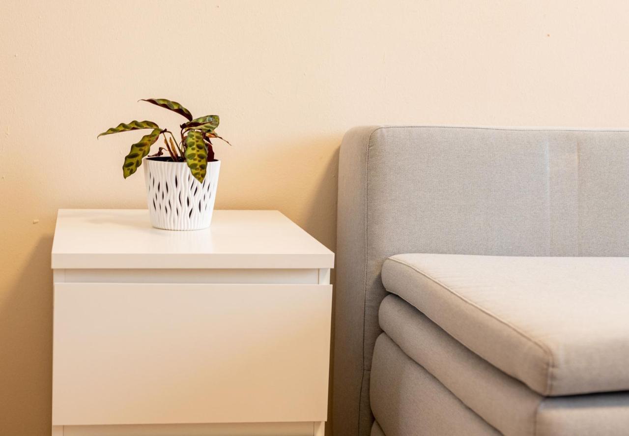 לייפציג 163 Zentrum Nord Apartment Messe,Hbf,A14 מראה חיצוני תמונה